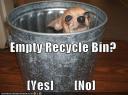 funny-pictures-recycle-bin-dog.jpg