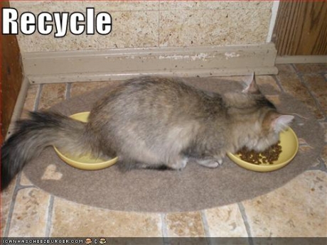 funny-pictures-cat-recycles-food.jpg